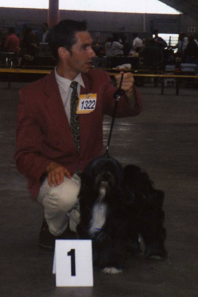 CH. Nomechan Jazzy-dharan