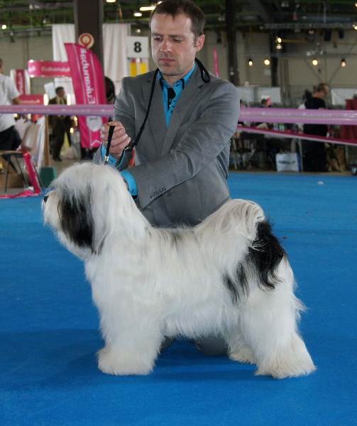 Nomechan Garry-lamleh